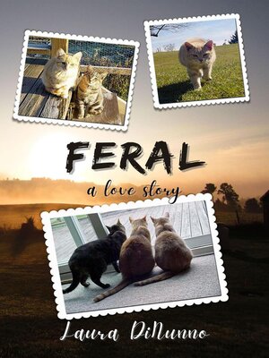 cover image of Feral